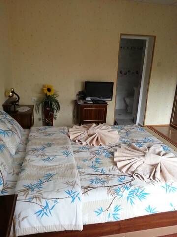 Фото номера Двухместный номер с 1 кроватью и видом на горы Гостевой дом Guest House Stoletnika г. Ягодина 15