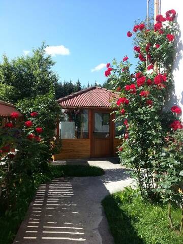 Фото номера Трехместный номер с видом на горы Гостевой дом Guest House Stoletnika г. Ягодина 25