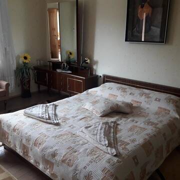 Фото номера Двухместный номер с 1 кроватью и видом на горы Гостевой дом Guest House Stoletnika г. Ягодина 10
