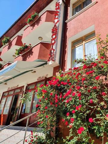 Фото Отель Yagodina Family Hotel г. Ягодина 5